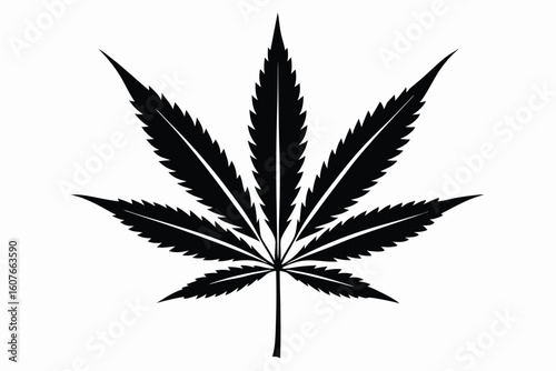 Silhouette of Single Cannabis Leaf with Pointed Lobes, Vector Botanical Art