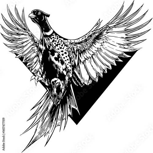 Flying Pheasant Vector – Bold Upland Game Bird in Liftoff Pose