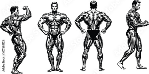 Muscular male bodybuilder poses vector, human anatomy sketch, fitness model illustration, professional physique study, CAD flat drawing