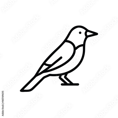 Minimalist line art icon a canary bird perched outline simple