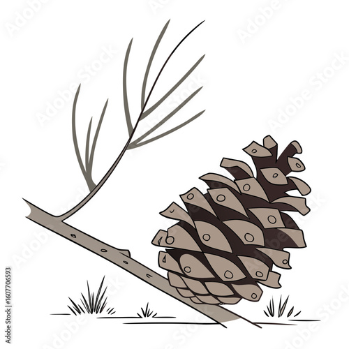 Pinecone resting on a branch with pine needles and grass  