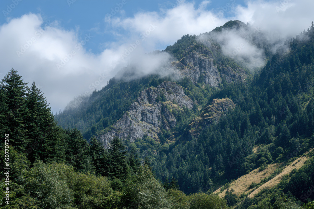 Fototapeta premium capture stunning summer landscapes and diverse nature found in all states of usa with focus on lush tropical