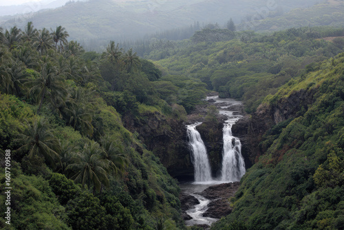 breathtaking view of lush tropical forests in hawaii showcasing majestic waterfalls cascading down rocky cliffs