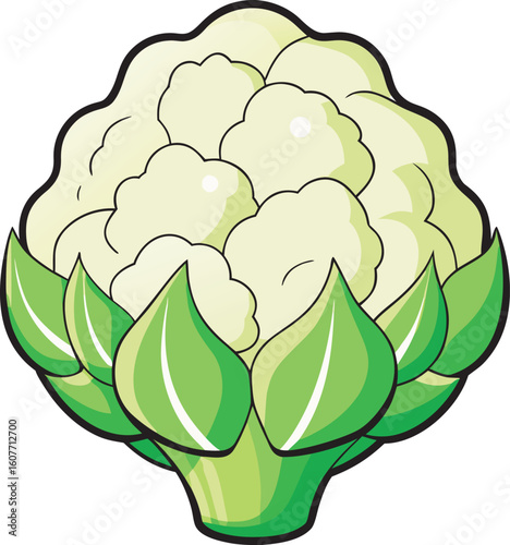 A vibrant cartoon illustration of a fresh cauliflower with green leaves, presented isolated on a white background.
