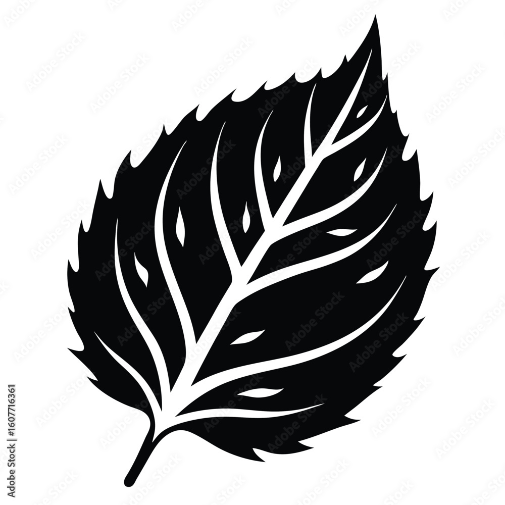 Obraz premium Leaf Silhouette Intricate Veins, Pointed Tip, and Serrated Edges Against a Bright Background