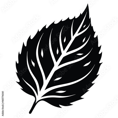 Leaf Silhouette Intricate Veins, Pointed Tip, and Serrated Edges Against a Bright Background
