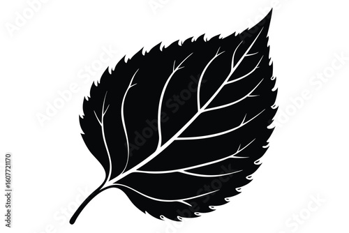 Intricate Silhouette of Serrated Leaf Featuring Veins for Botanical Designs and Patterns