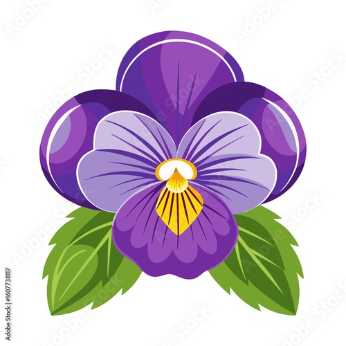 Beautiful purple pansy flower illustration vector graphic design floral bloom blossom garden art