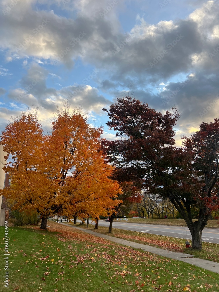 Naklejka premium Stunning nature landscape with vibrant greenery and clear blue sky, perfect for travel and outdoor backgrounds.