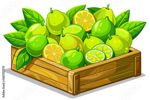 vector of Vibrant green lemons arranged in a wooden box on a white surface of juicy lemons rich in vitamin C...