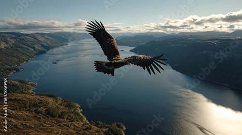 Majestic Eagle Flying Over a Vast Lake Landscape / 広大な湖の風景の上空を飛ぶ雄大なワシ