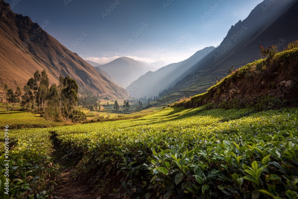 Fototapeta premium Sunlit valley with lush greenery and majestic mountains at dawn
