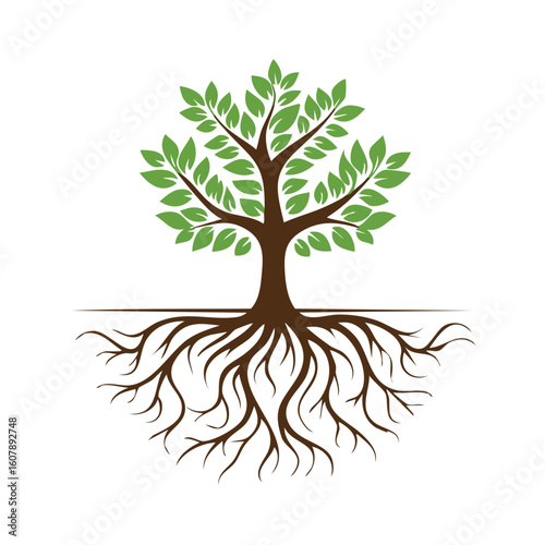 Tree with Roots Isolated on...