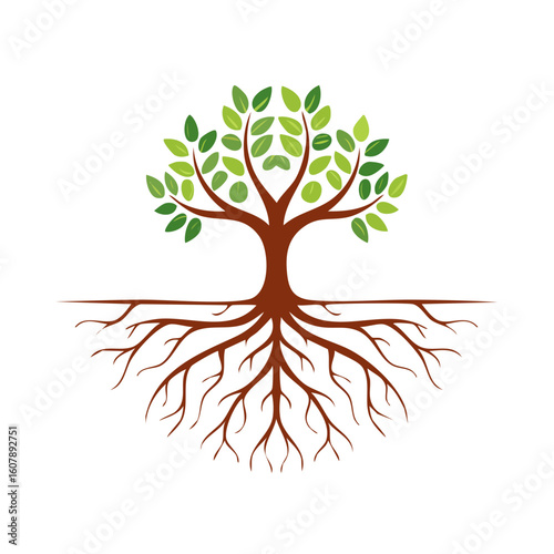Tree with Roots Isolated on...
