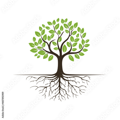 Tree with Roots Isolated on...