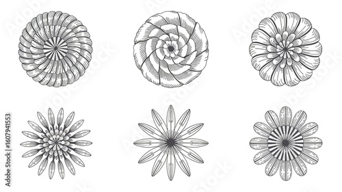 Six intricate floral designs in black ink botanical illustration