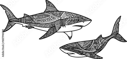 Zentangle stylized Sea Shark and Whale. Hand Drawn vector illustration