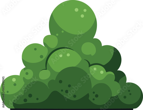 Green bush plant with rounded leaves vector illustration in simple flat style for garden or nature design elements 