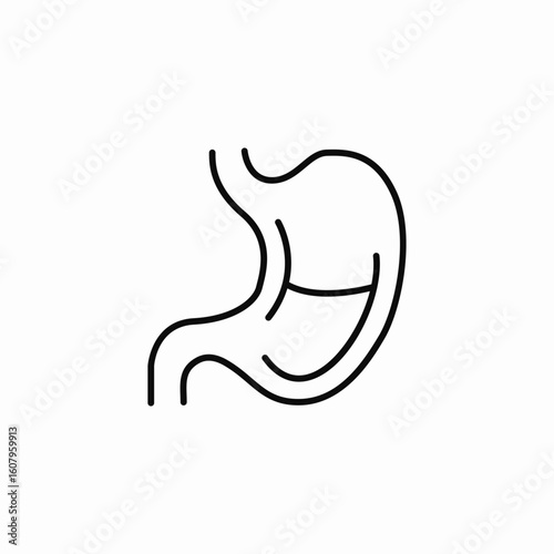 stomach organ icon sign vector