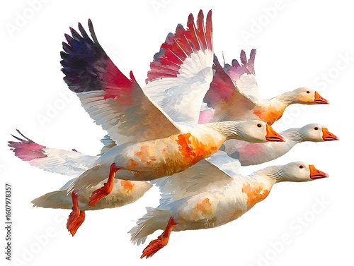 A beautiful watercolor painting of four geese flying in formation against a bright white background today.