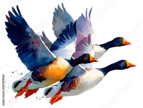 Three watercolor geese are captured in flight, their wings spread against a white, transparent background.