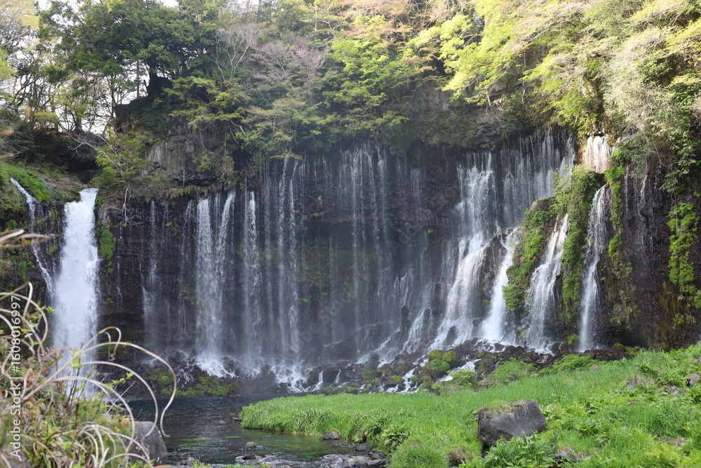 Fototapeta premium 滝の壁