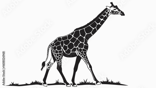Illustration of a giraffe with black spots walking in a field of grass on a white background