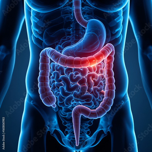 Bowel discomfort in abdomen - gut tension, intestinal cramp, stomach ache, digestive strain, internal distress, visceral pain, gastrointestinal issue, abdominal spasm, digestive unease.
