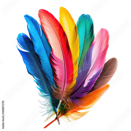 Vibrant, colorful feathers in various hues