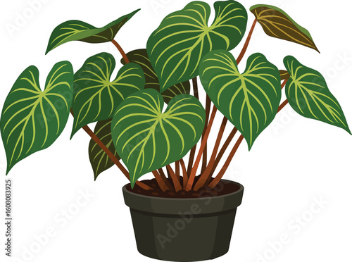 ChatGPT said:
🌱 BOLD NATURE VIBES! Stunning heart-shaped leaves with vivid veins in a sleek black pot—perfect for modern spaces. Download this gem to grow your creative jungle today!