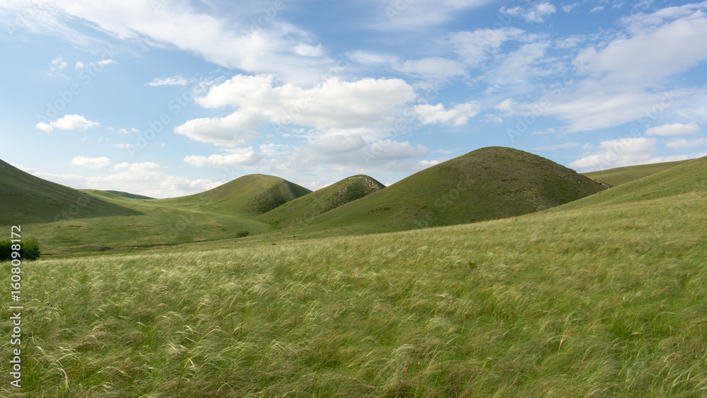 Fototapeta premium Expansive green hills under a bright blue sky with fluffy clouds, showcasing the beauty of nature and the tranquility of the landscape in a serene environment