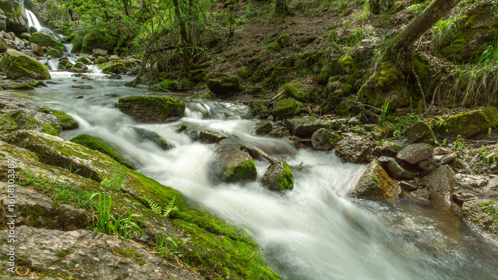 Obraz premium Flowing stream with smooth water cascading over moss-covered rocks, surrounded by lush greenery and trees, creating a serene and tranquil natural environment