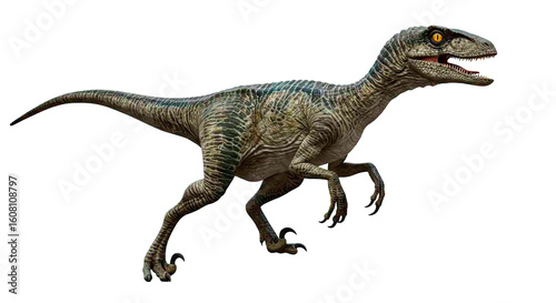 Fototapeta Naklejka Na Ścianę i Meble -  A detailed Velociraptor illustration, showcasing the predatory dinosaur in full stride against a black background.