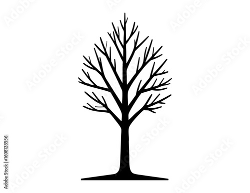 Bare tree black leafless tree stands alone against a white plain background in winter.