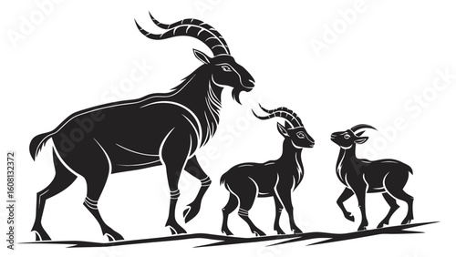 Three ibexes of different sizes walking in a line in black and white vector illustration style image