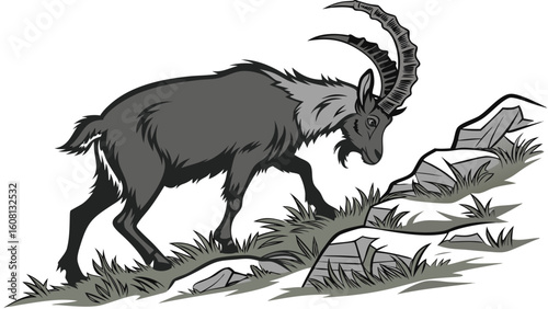 Illustration of a mountain goat with large horns walking on a rocky slope with grass patches