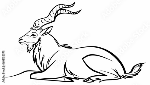 Illustration of a markhor lying down with large curved horns in black and white outline style