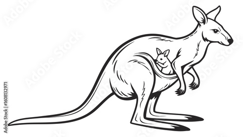 Illustration of a kangaroo with a joey in its pouch in black and white outline style drawing art