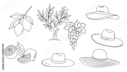 Hand-Drawn Line Art Set: Lemons, Olives, Grapes & Summer Hats