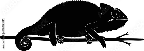 Silhouette of a chameleon perched on a branch.