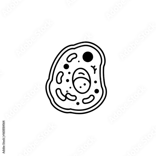 Simple Illustration of a Biological Cell