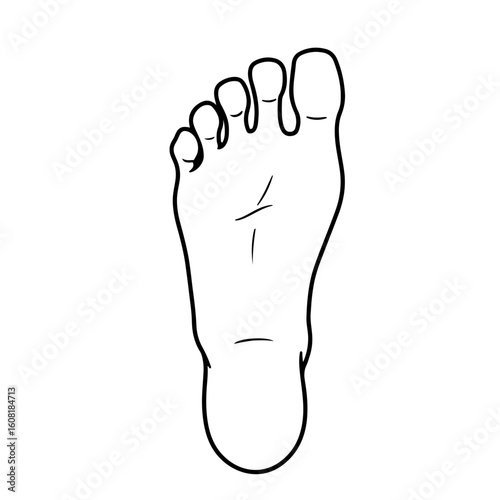 Stylized Foot Illustration: Black Outline of Human Foot with Toe Details