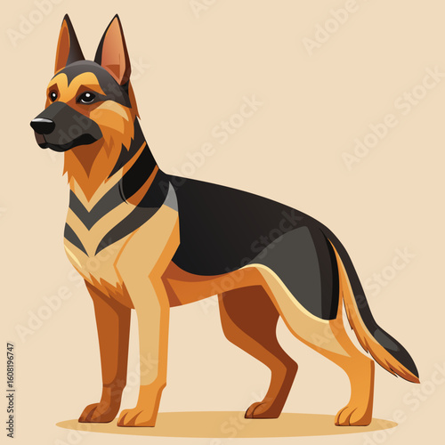 vector illustration of a german shepherd dog