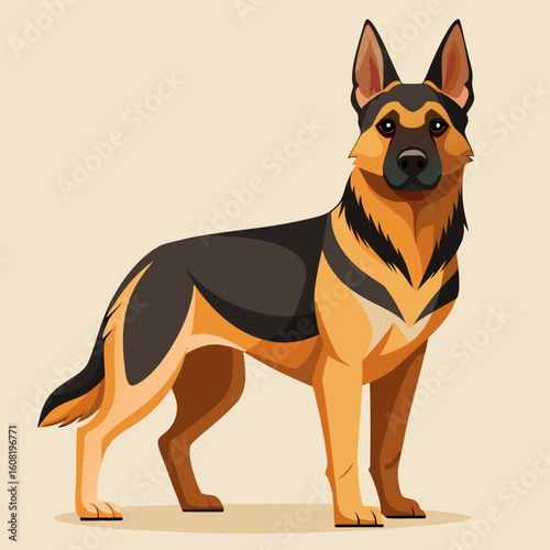 vector illustration of a german shepherd dog