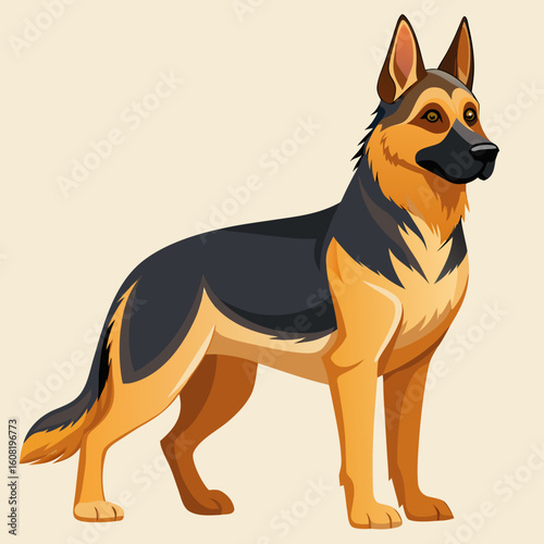 vector illustration of a german shepherd dog