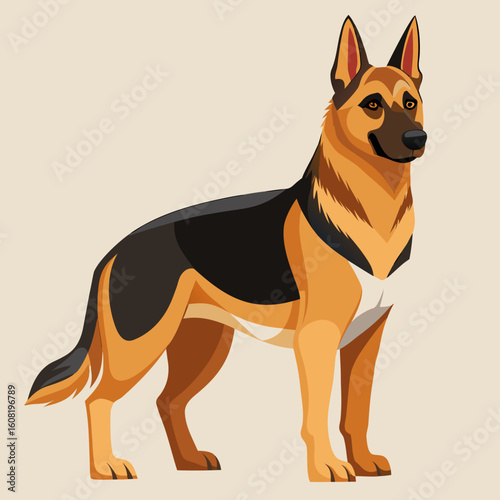 vector illustration of a german shepherd dog