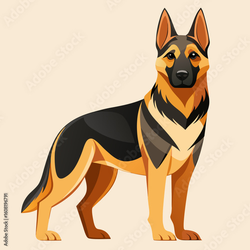 vector illustration of a german shepherd dog