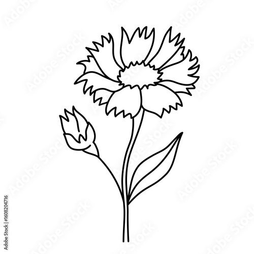 Doodle vector flower contour symbol isolated on a transparent background