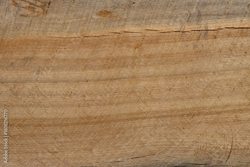 Foto Textura de cortes transversal y longitudinal de un tronco de eucalipto