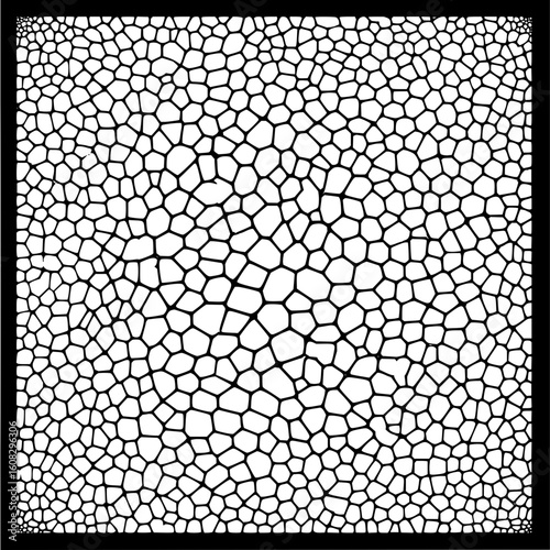 Black and white vector image showing a cellular pattern within a black square border design element